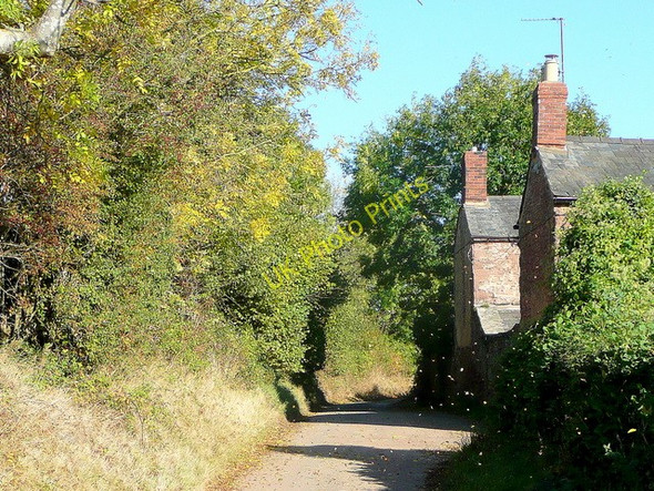 Photo 6"x4" Autumn at Springetts Lane Kingstone\/SO6324 c2009