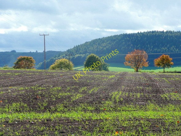 Photo 6"x4" Autumn sunshine on the Penyard Bromsash c2009