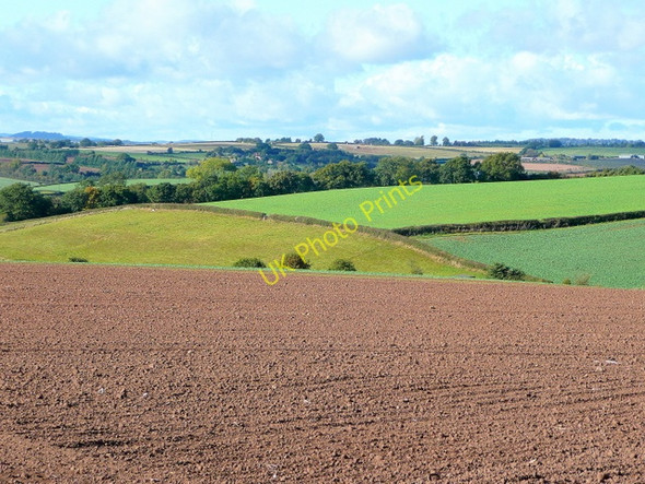 Photo 6"x4" Colour Fields; Herefordshire farmland in October Bromsash c2009