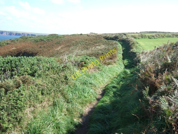 Photo 6"x4" Coast path newar St Martin's Marloes c2009