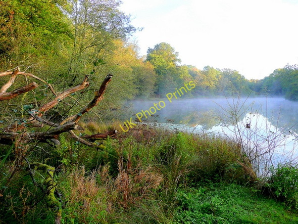 Photo 6"x4" Lower Cannop Pond; October morning mist 2 Cannop c2009