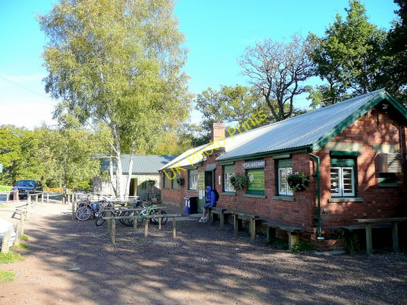 Photo 6"x4" Forest Cycle Hire Cannop c2009