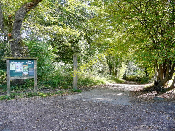Photo 6"x4" Forest Cycleway Cannop c2009
