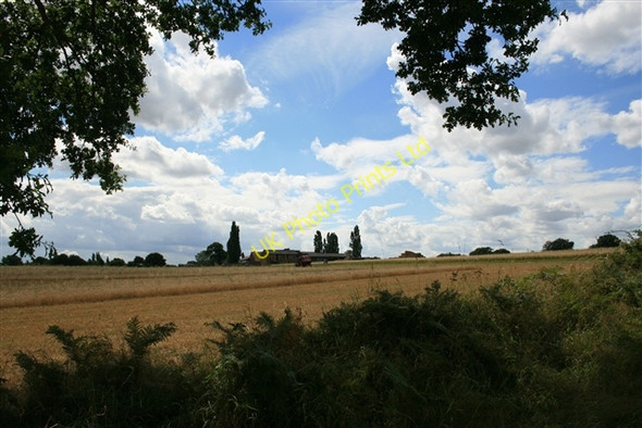 Photo 6"x4" Broad Hall Farm Rockland St Mary c2007