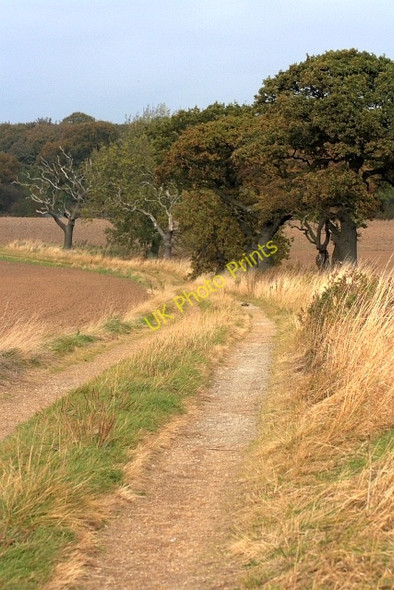 Photo 6"x4" Footpath and Track to Grindon Cottages Grindon\/NZ3925 c2009