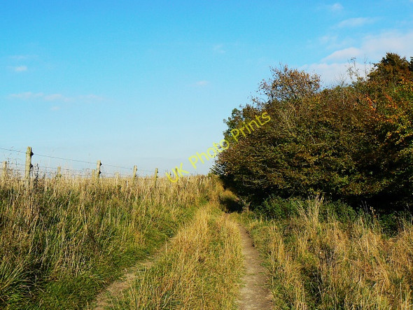 Photo 6"x4" Mid Wilts Way, near Roundway Hill Covert, Bromham CP Roundway c2009