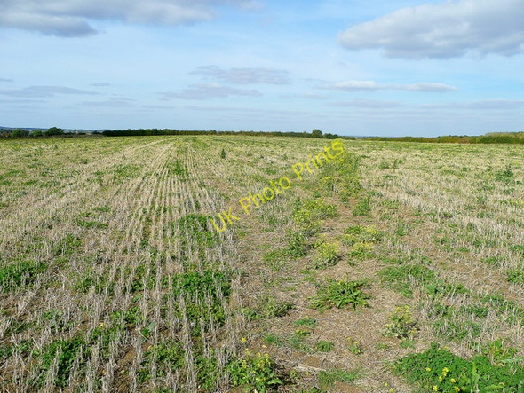 Photo 6"x4" Footpath through stubble 1 Toddington\/SP0332 c2009