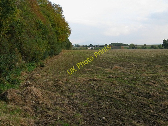 Photo 6"x4" Hedgerow and New Road Maddockstown c2009