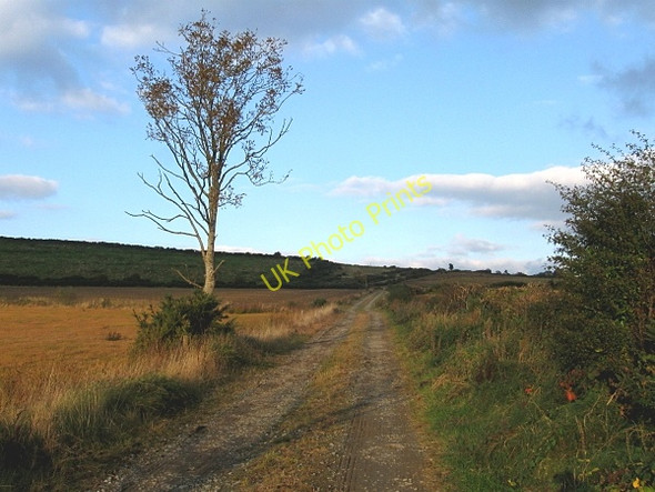 Photo 6"x4" Farm Lane Castlewarren c2009