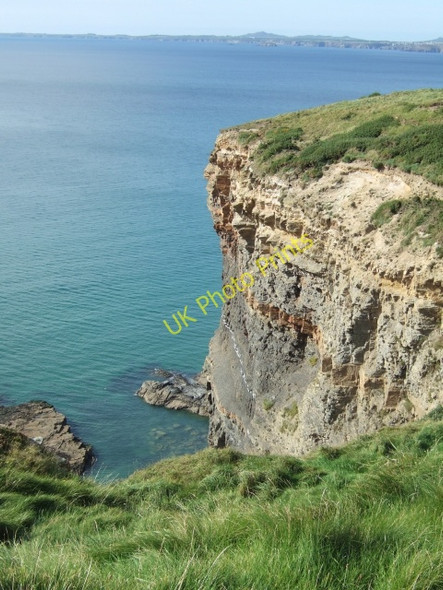 Photo 6"x4" Druidston Chins Druidston c2009