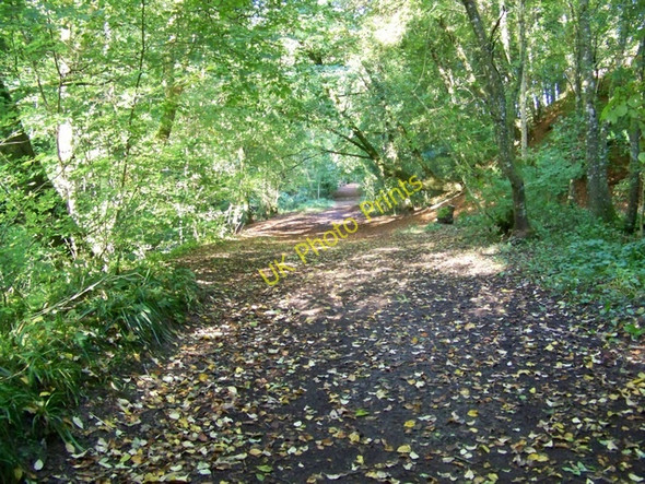 Photo 6"x4" Path, Den o' Alyth Alyth c2009