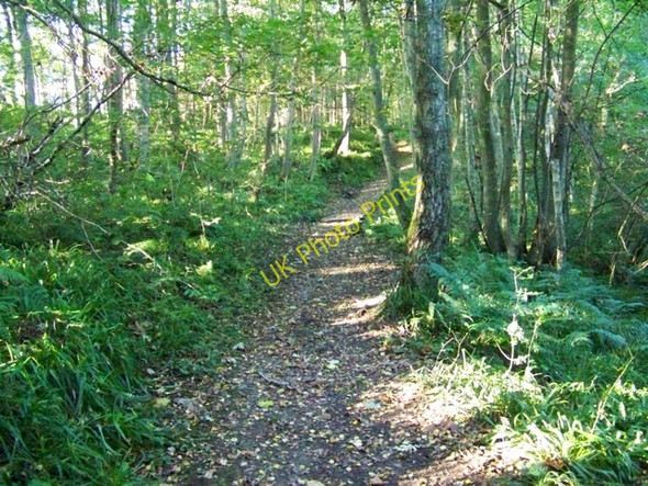 Photo 6"x4" Path, Den o' Alyth Alyth c2009 P2