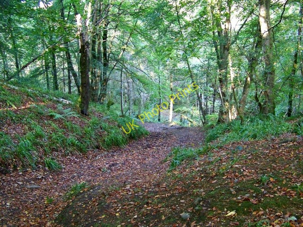 Photo 6"x4" Path, Den o' Alyth Alyth c2009 P3