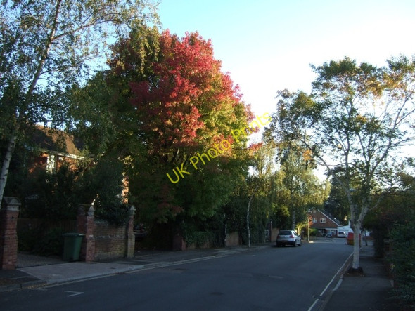 Photo 6"x4" Matford Avenue, Exeter with autumn colour Exeter c2009