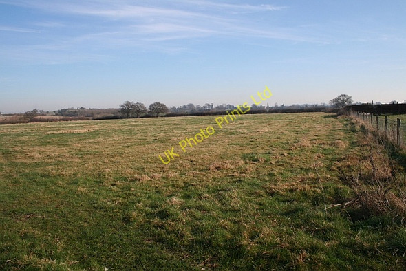 Photo 6"x4" Pasture, Lower Hook Duckswich c2008