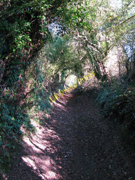 Photo 6"x4" View N along the North Downs Way Dover\/TR3141 c2009