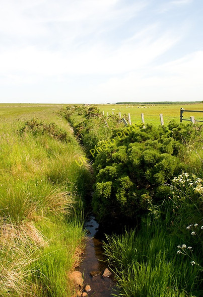 Photo 6"x4" Burn of Hunster Bower\/ND2363 c2009