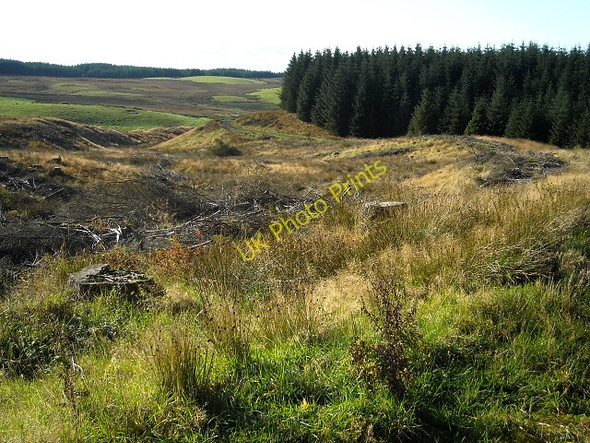 Photo 6"x4" Felled Forest Barrhill\/NX2382 c2009