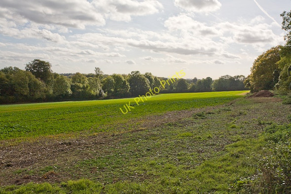 Photo 6"x4" Field west of Keeper's cottage, Preshaw Blackdown\/SU5322 c2009