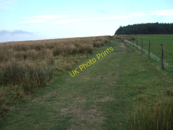 Photo 6"x4" Path running east from Bwlch-gwynt Tafarn-y-bwlch c2009