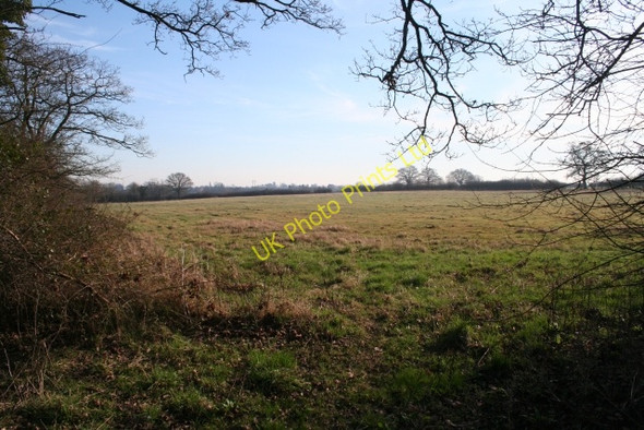 Photo 6"x4" Pasture, Lower Hook The Hook c2008
