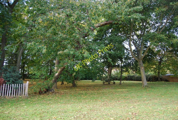 Photo 6"x4" Open space off Yew Tree Rd Royal Tunbridge Wells c2009