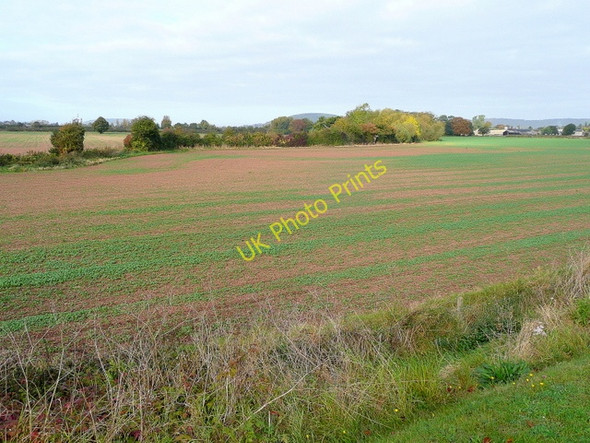 Photo 6"x4" View towards Huntington Hereford c2009