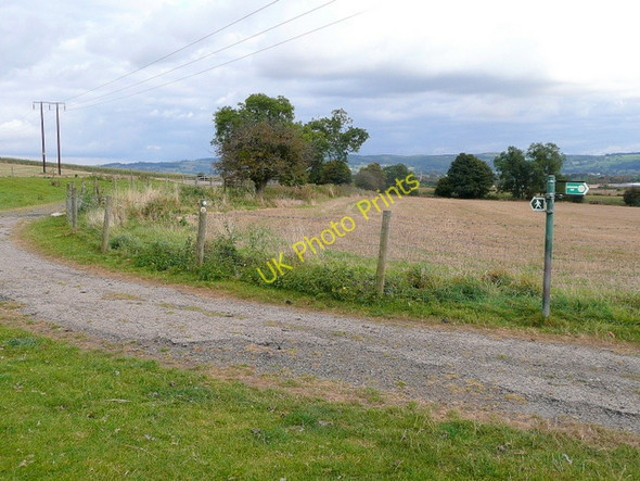 Photo 6"x4" On the Wychavon Way 3 Alderton\/SP0033 c2009