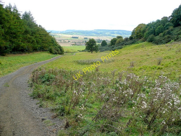 Photo 6"x4" On the Wychavon Way 8 Alderton\/SP0033 c2009