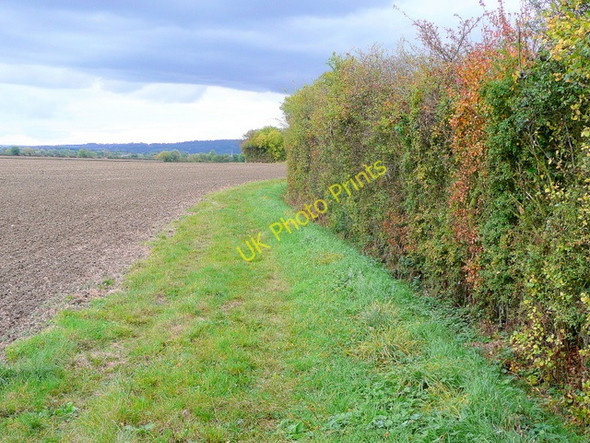 Photo 6"x4" Bridleway east 1 Aston Somerville c2009