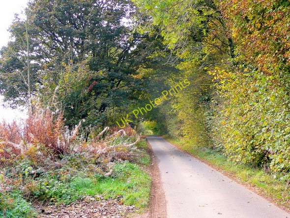 Photo 6"x4" Autumnal lane Stumps Cross c2009
