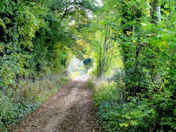 Photo 6"x4" Green lane east from Taddington Taddington\/SP0831 c2009
