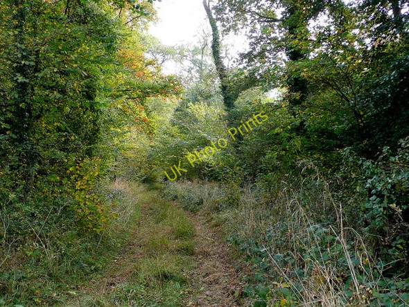Photo 6"x4" Charnal Plantation Temple Guiting c2009