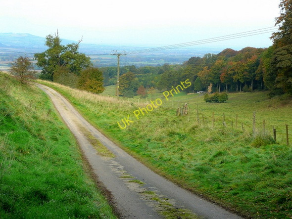Photo 6"x4" Track to Lower Coscombe Stumps Cross c2009