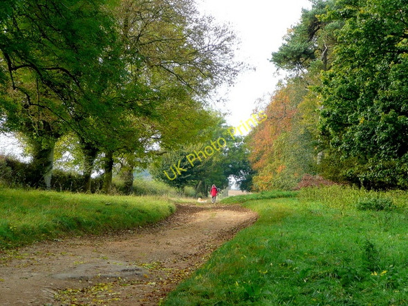 Photo 6"x4" Cotswold Way at Stumps Cross 1 Stumps Cross c2009