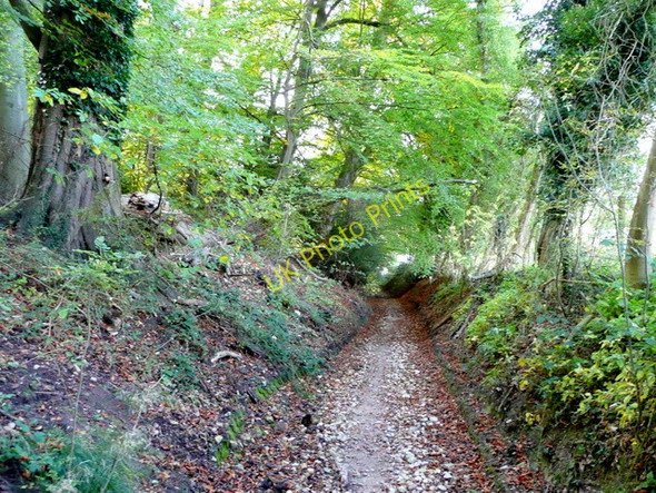 Photo 6"x4" Bridleway up the Cotswold scarp 2 Stanway\/SP0632 c2009