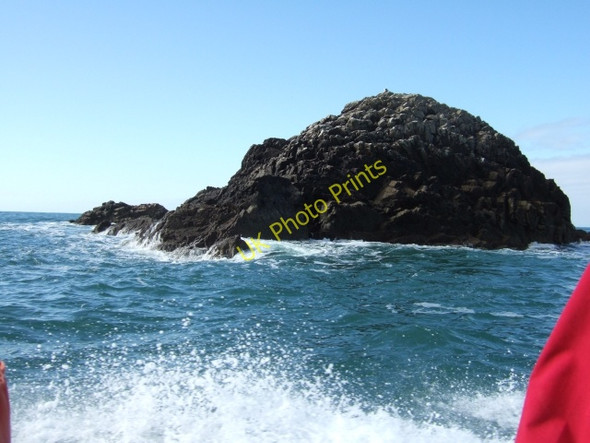 Photo 6"x4" Carreg-gwylan island Treginnis c2009