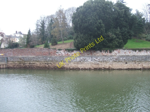 Photo 6"x4" Grounds of Larkbeare House Exeter Exeter c2008