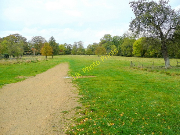 Photo 6"x4" Stanway Park Didbrook c2009