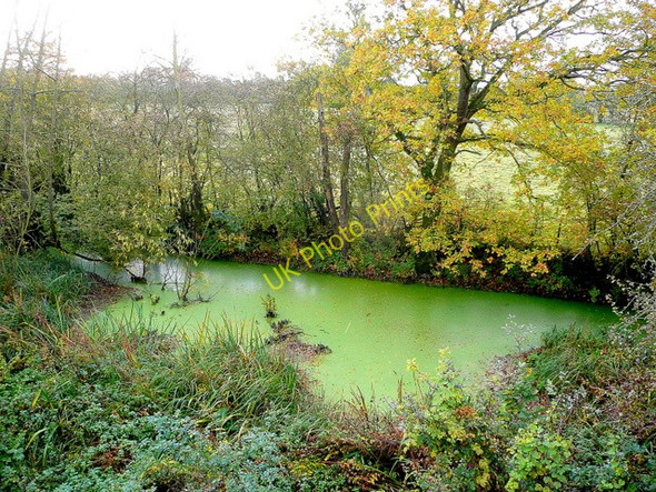 Photo 6"x4" Stagnant pond by the A438 Tewkesbury c2009