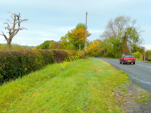 Photo 6"x4" Verge of the A438 Tewkesbury c2009