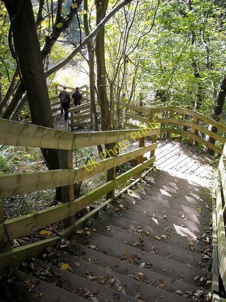 Photo 6"x4" Steps on the Clyde Walkway Nethanfoot c2009