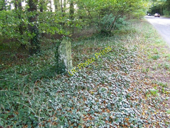 Photo 6"x4" Milestone, A354 Blandford Road Homington c2009