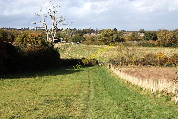 Photo 6"x4" Path to Poolbrook Great Malvern c2009