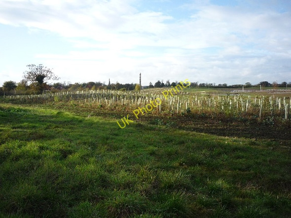 Photo 6"x4" Tree planting on Heslington East Heslington c2009
