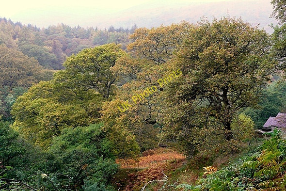 Photo 6"x4" Across Nant Rhaeadr Fawr Abergwyngregyn c2009
