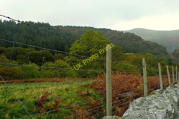 Photo 6"x4" Above Nant Anafon Gorddinog c2009