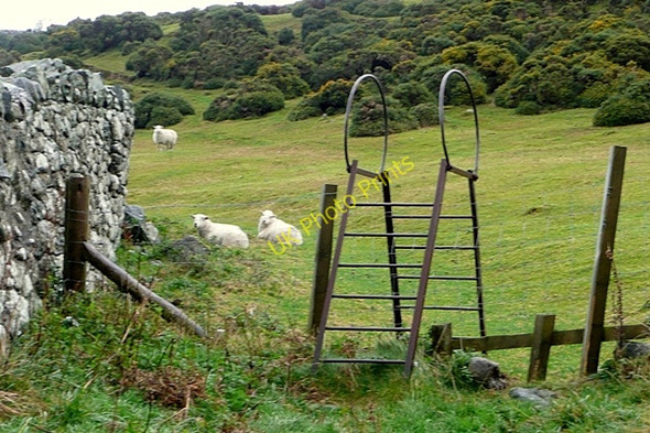 Photo 6"x4" Stile onto access land Gorddinog c2009