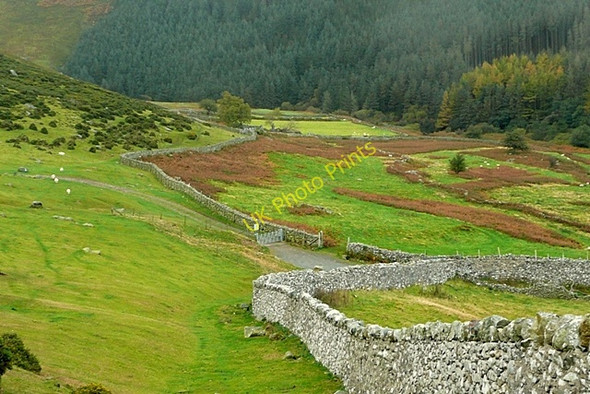 Photo 6"x4" Nant Anafon Gorddinog c2009