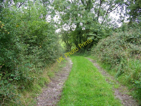 Photo 6"x4" Footpath near Barrow Street Mere\/ST8132 c2009